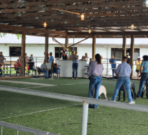 Lucas County Fair Open Show Fair