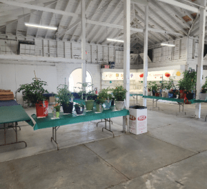 Lucas County Fair Senior Fair